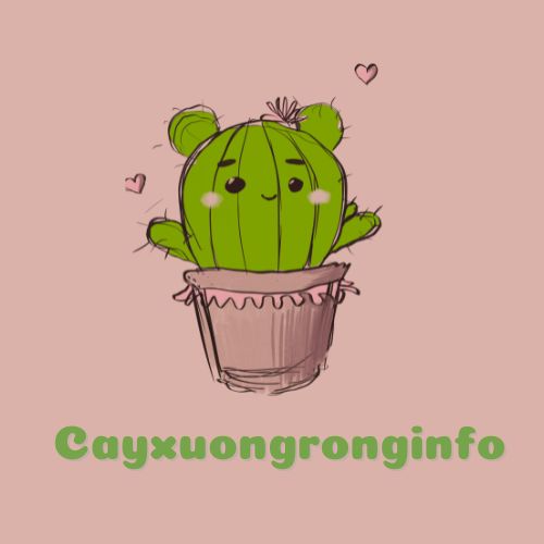 cayxuongronginfo.com